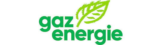 AEE-SUISSE-FESS-Partner-gaz-energie