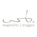 aee-mitglied-wegmüller-briggen