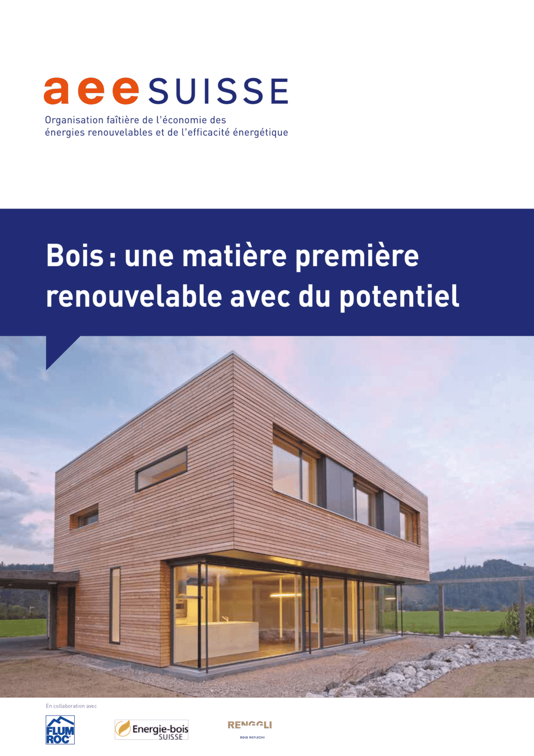 AEE SUISSE Brochure Bois Une Matiere Premiere Renouvelable Avec Du Potentiel FR