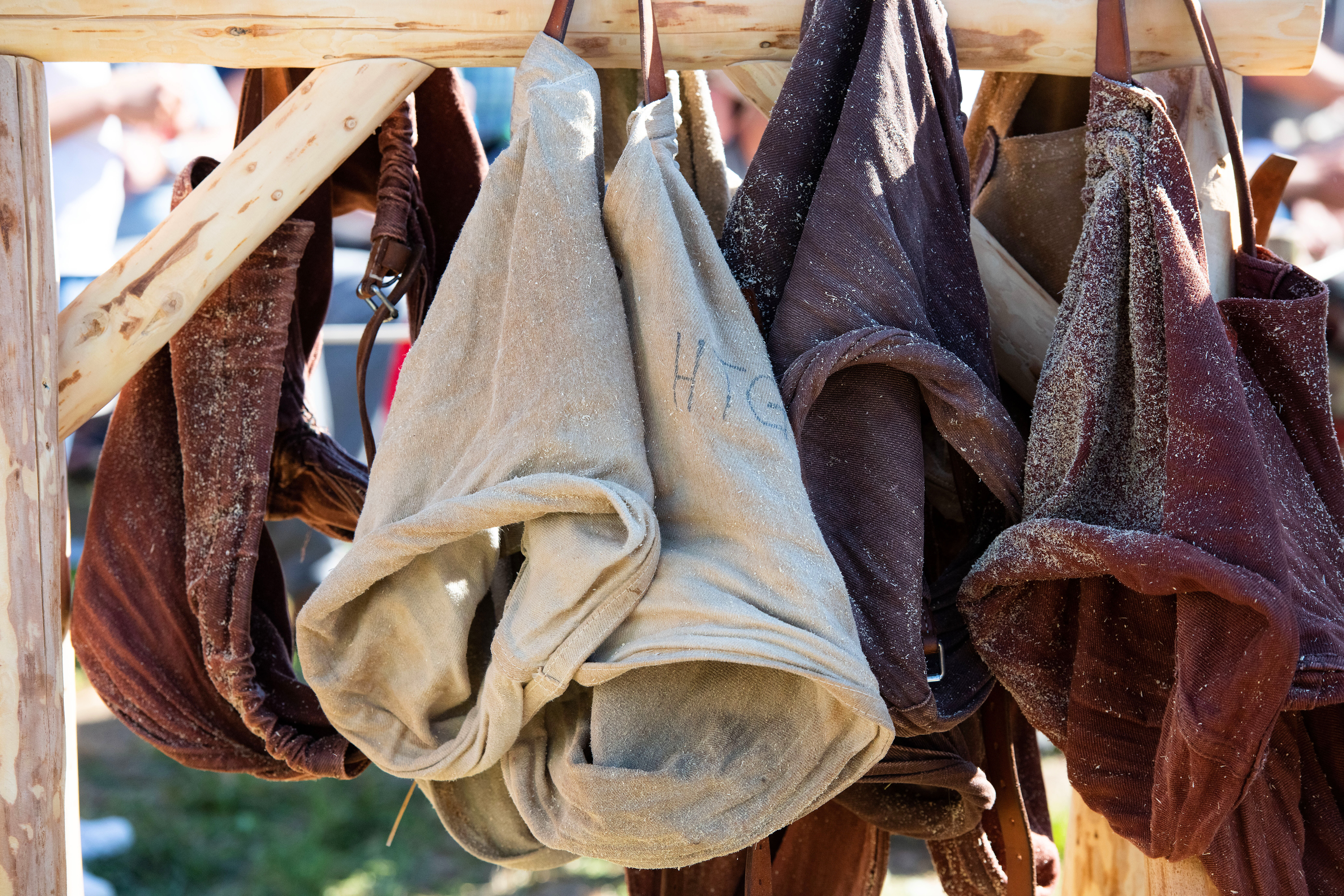 ESAF2025 Bild Offiziell Sport 01