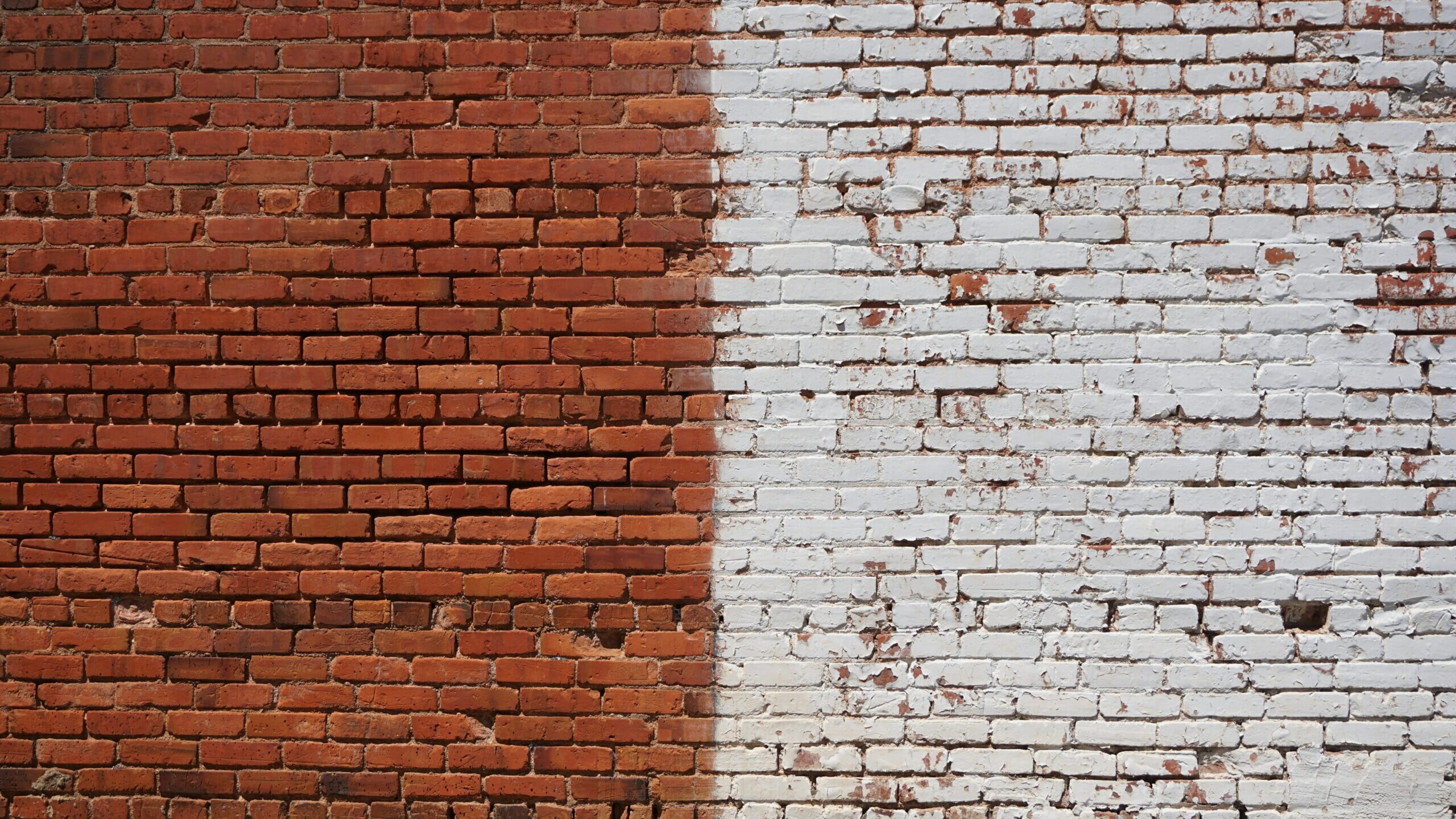 marl-clevenger-8StEwJBI7qg-unsplash