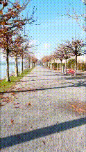 Rush Strandweg Gif