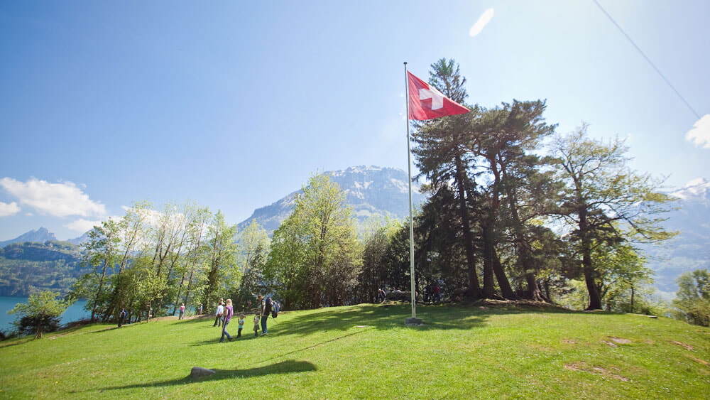 Ruetli Online 132 1000px