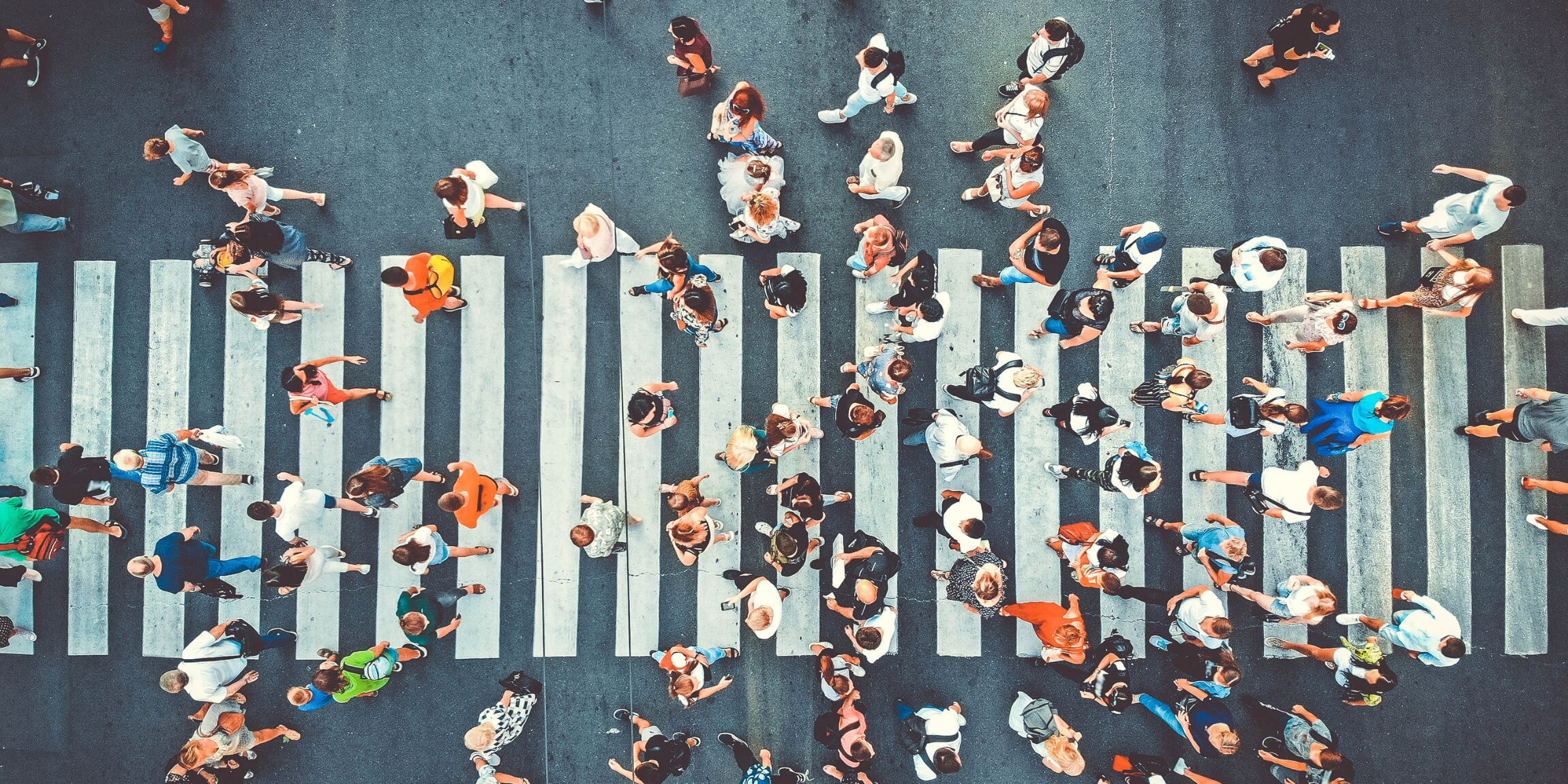 Foto CV Polarisiierung