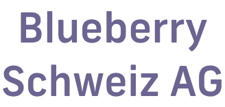 BlueberrySchweiz AG