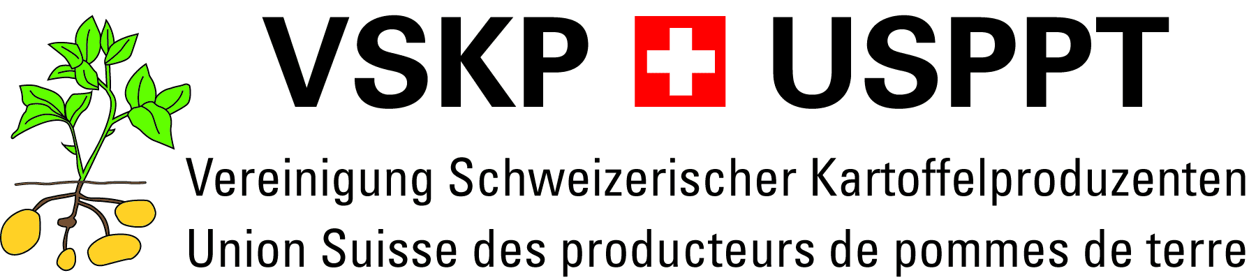 Logo VSKP