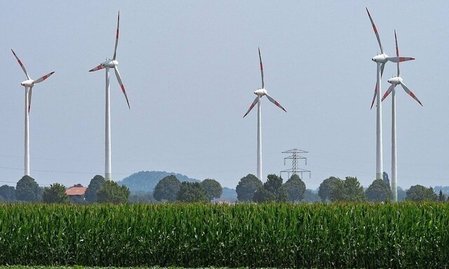 Ackerfläche_Wind_Mais